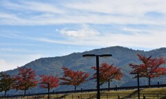 山を背に