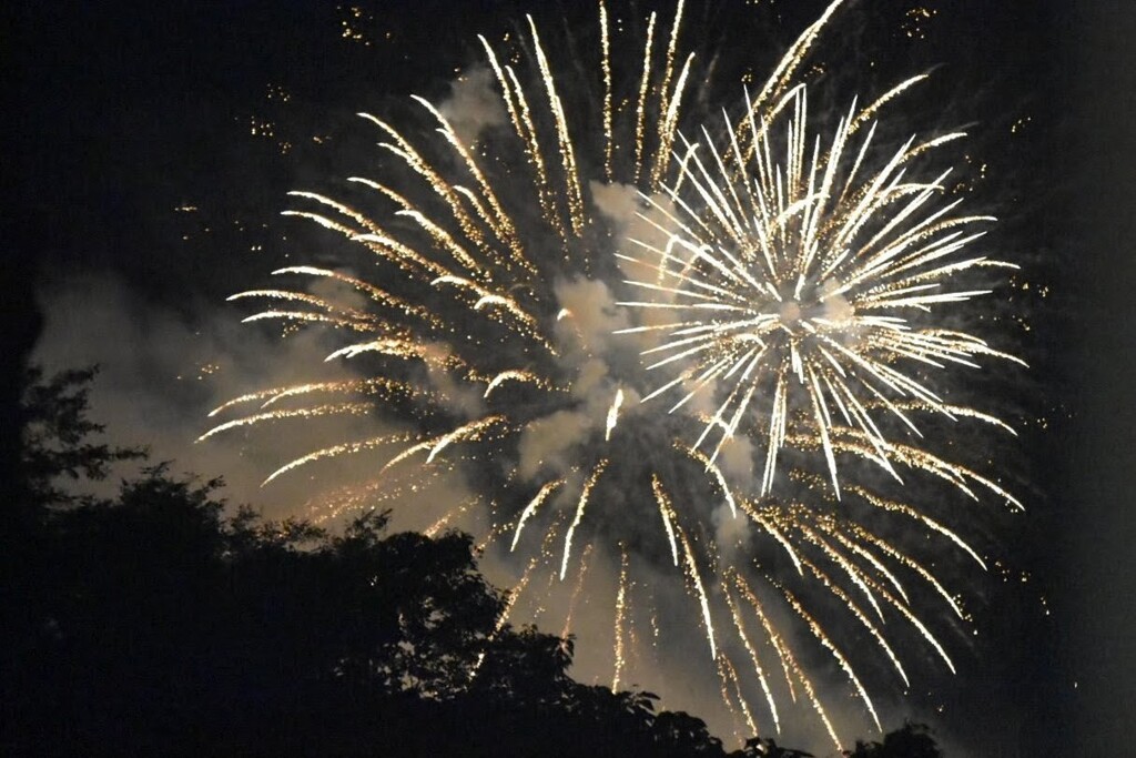 花市の夜