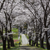 神社へ