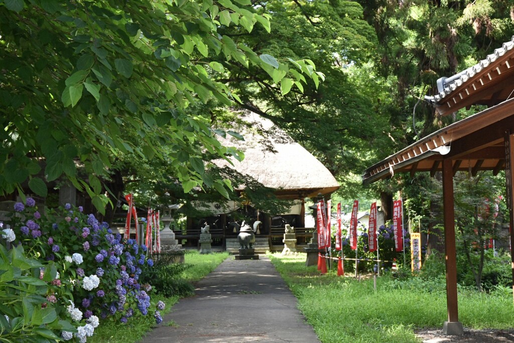 あじさい寺