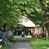 あじさい寺