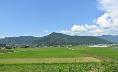 田圃と山と