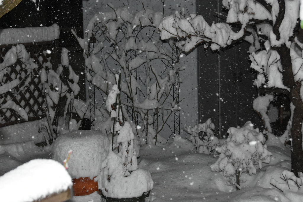 降り積もる雪