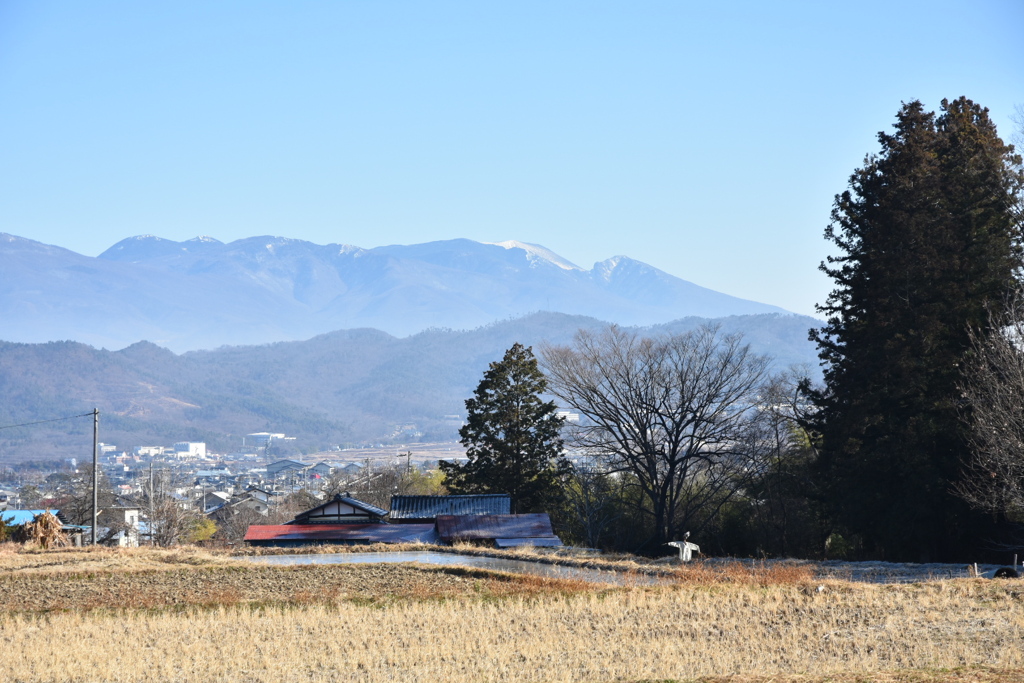 冬の田圃と山なみ