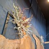 ドライフラワーのスワッグ