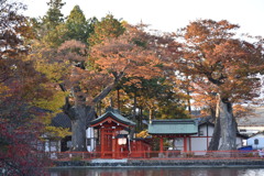 神社の秋