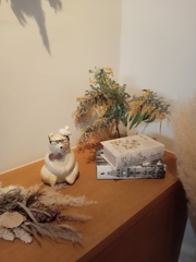 シロクマおじさん