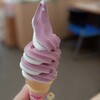 桑の実ソフト