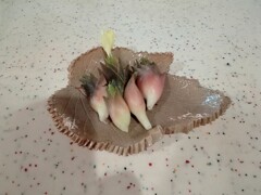 初採り 7