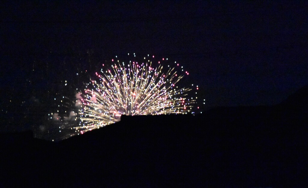 そつはな（卒花）