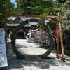 茅の輪くぐり