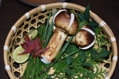 松茸