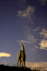 陣馬山の星景