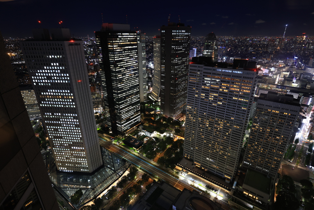 新宿の夜景