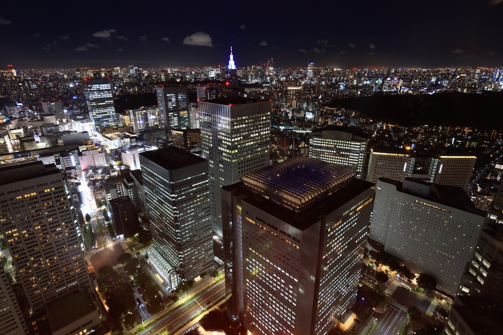 都庁からの夜景