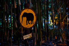 天王寺動物園にて