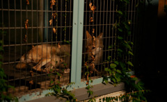 天王寺動物園にて