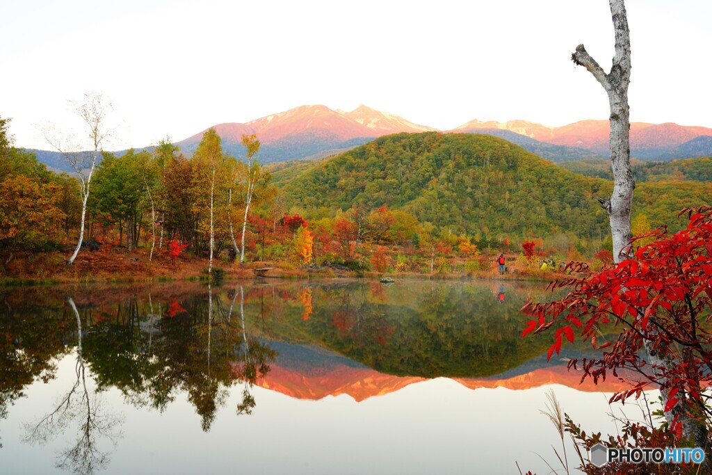 朝焼けのまいめの池