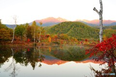 朝焼けのまいめの池