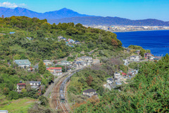東海道線　根府川駅〜早川駅間のとあるみかん畑にて