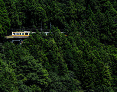 首都東京です