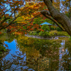 日比谷公園日没後
