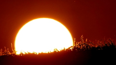 土手の夕日