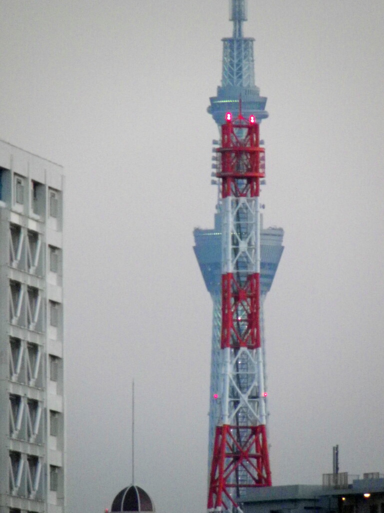 西新井橋の重なる鉄塔