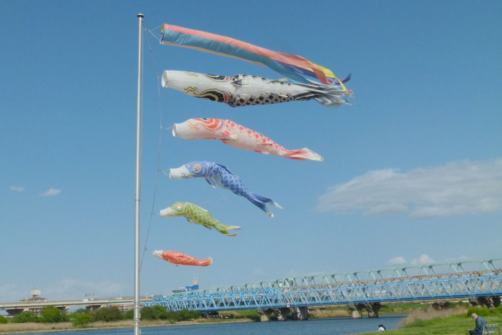 千住の虹の広場の鯉のぼり