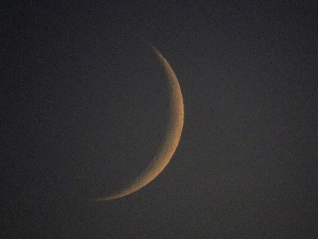 月齢3.1
