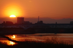 スギ花粉のホヤを纏った夕日荒川