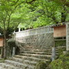 石碑の右に歴史を感じる菓祖中島神社の階段石畳御祭神田道間守神を祭る