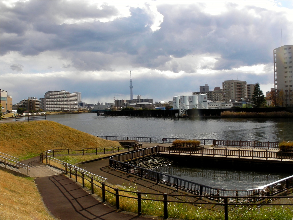 隅田川の千住桜木ワンドの風景