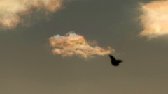 夕日の上の小さな彩雲