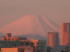 都内からの赤富士