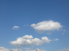 隅田川のマンションの上の清楚な雲片