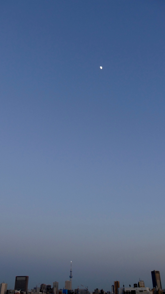 荒川土手から