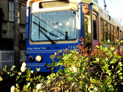 ブルーの都電荒川線