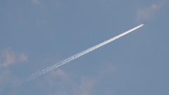 荒川土手から純白なジェット