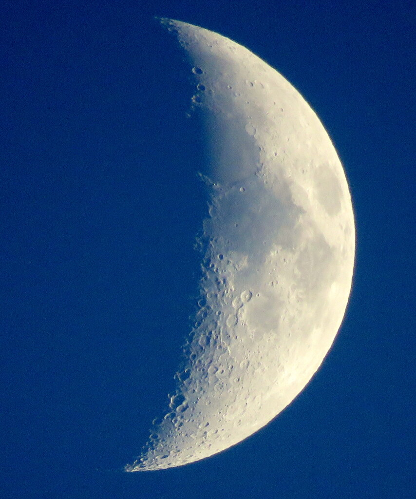 北風吹く師走の月齢6.3