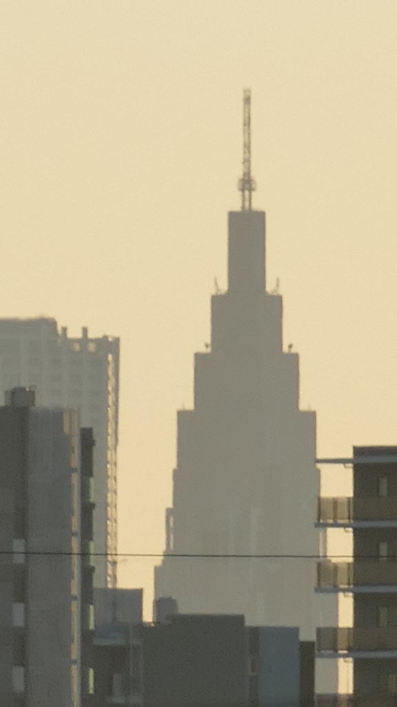 荒川土手から新宿ドコモタワーの夕方のシルエット
