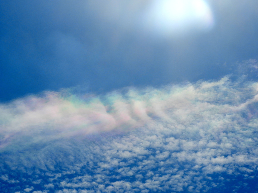 フィルターなしの巻積雲の彩雲