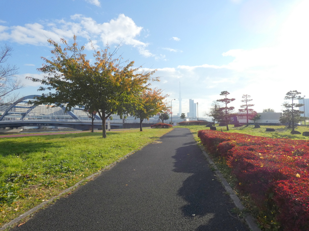 水神大橋の隅田川沿いの汐入公園の道をまっすぐに