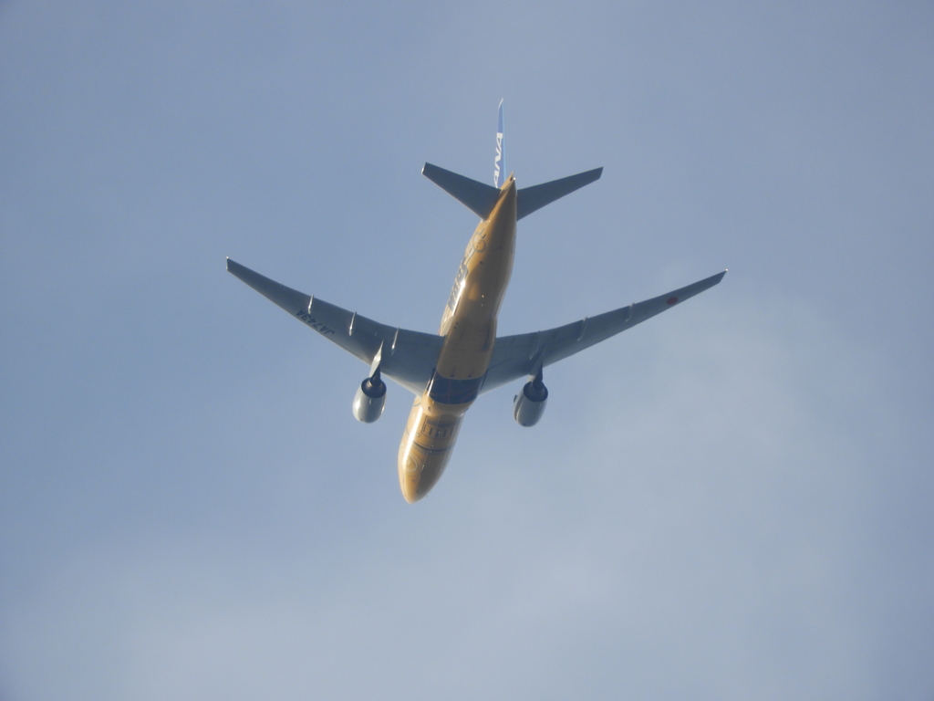 尾竹橋から上空のゴールドANA飛行機