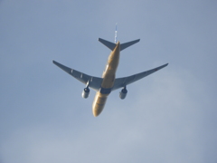 尾竹橋から上空のゴールドANA飛行機