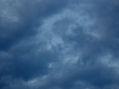 お猿さんの顔になった雲の動き