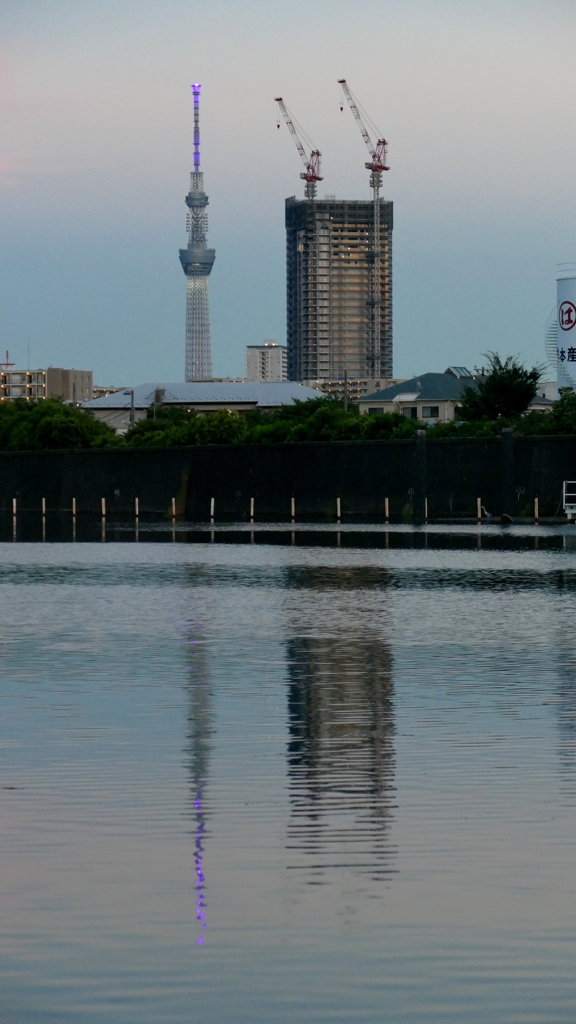 逆さツリー