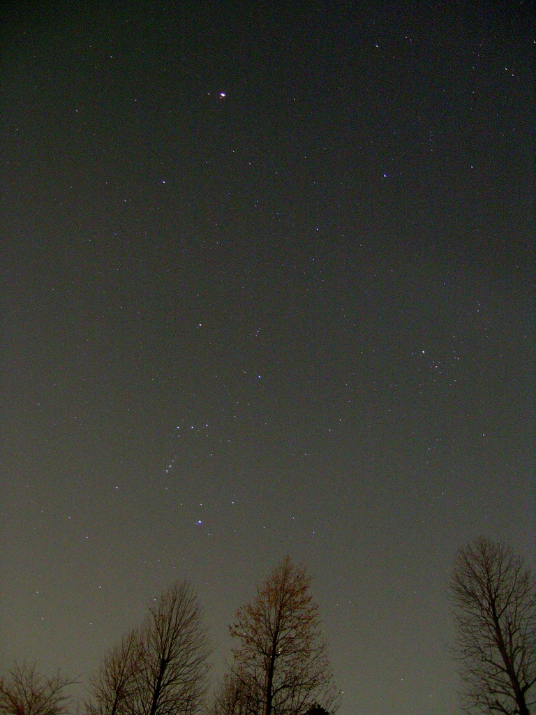 冬の星座、冬の大三角?