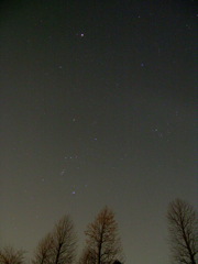 冬の星座、冬の大三角?
