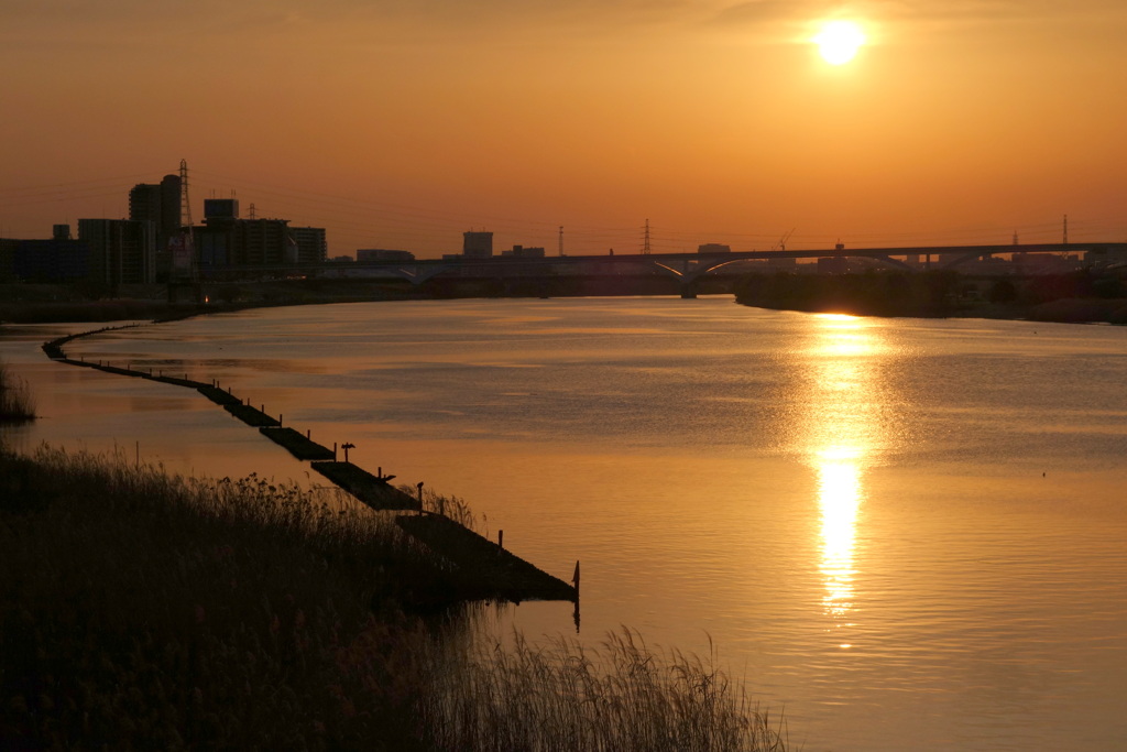 ワンドから右の荒川の夕日